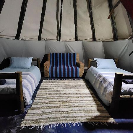 Tsitsikamma Wolf Sanctuary Eco Cabins & Teepees Stormsrivier Esterno foto