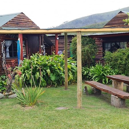 Tsitsikamma Wolf Sanctuary Eco Cabins & Teepees Stormsrivier Esterno foto