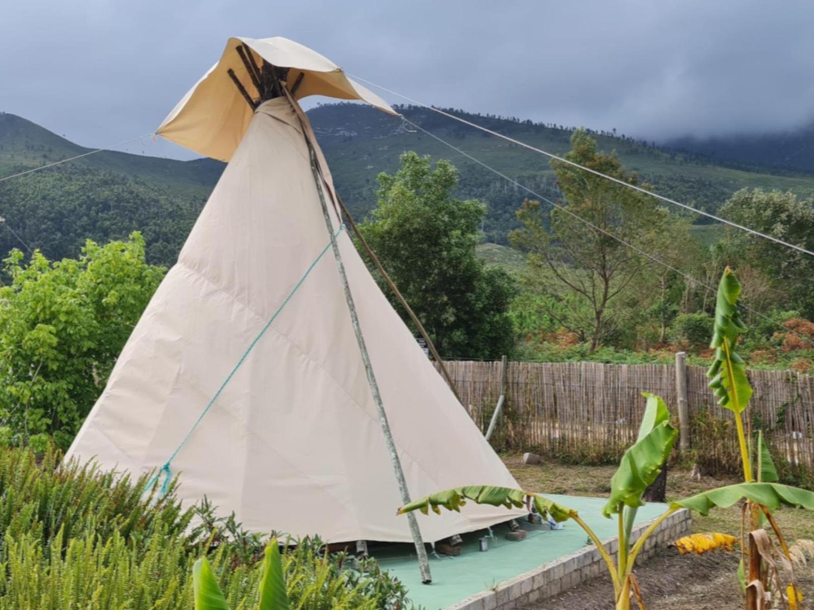 Tsitsikamma Wolf Sanctuary Eco Cabins & Teepees Stormsrivier Esterno foto