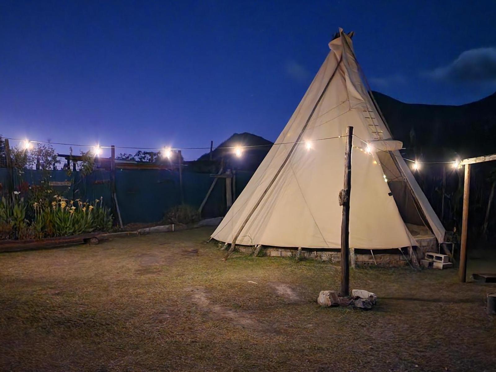 Tsitsikamma Wolf Sanctuary Eco Cabins & Teepees Stormsrivier Esterno foto