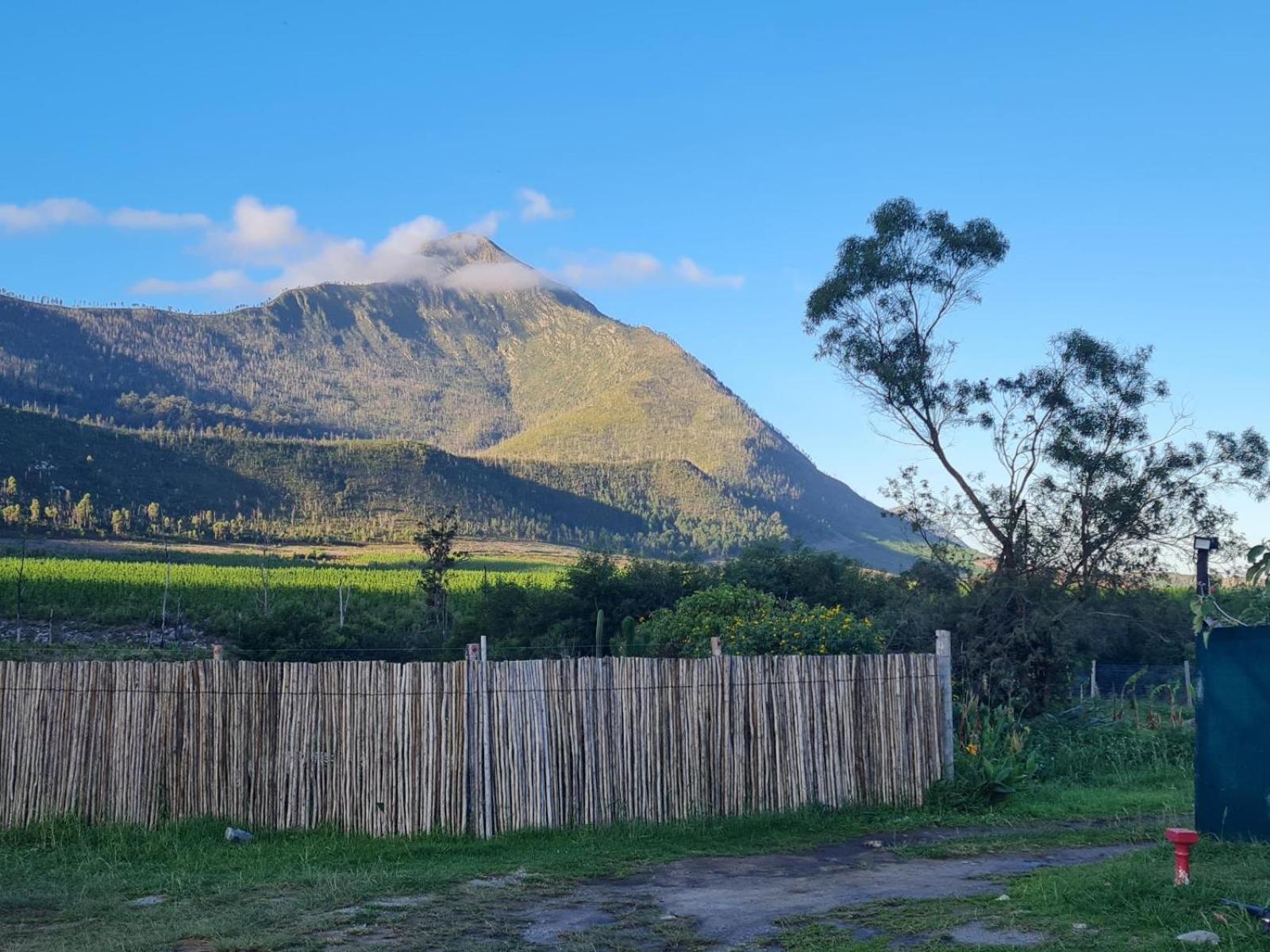 Tsitsikamma Wolf Sanctuary Eco Cabins & Teepees Stormsrivier Esterno foto