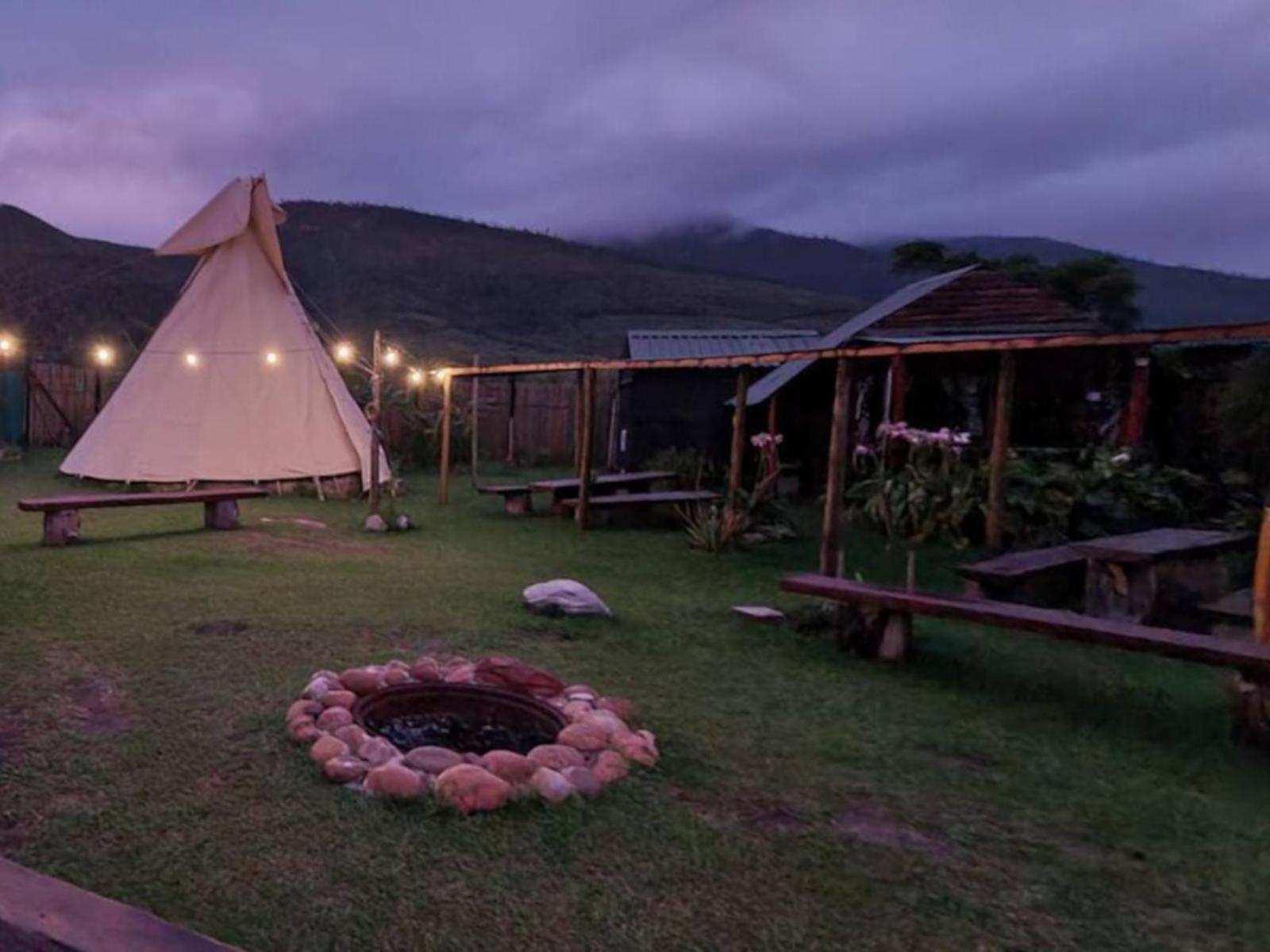 Tsitsikamma Wolf Sanctuary Eco Cabins & Teepees Stormsrivier Esterno foto