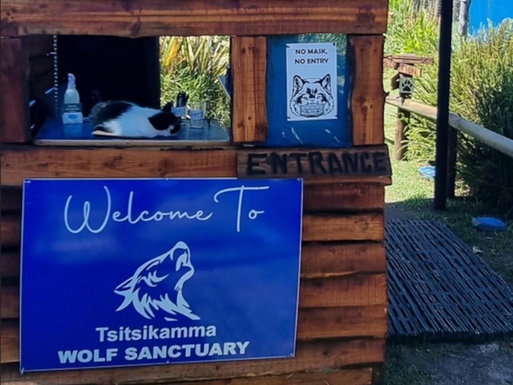 Tsitsikamma Wolf Sanctuary Eco Cabins & Teepees Stormsrivier Esterno foto