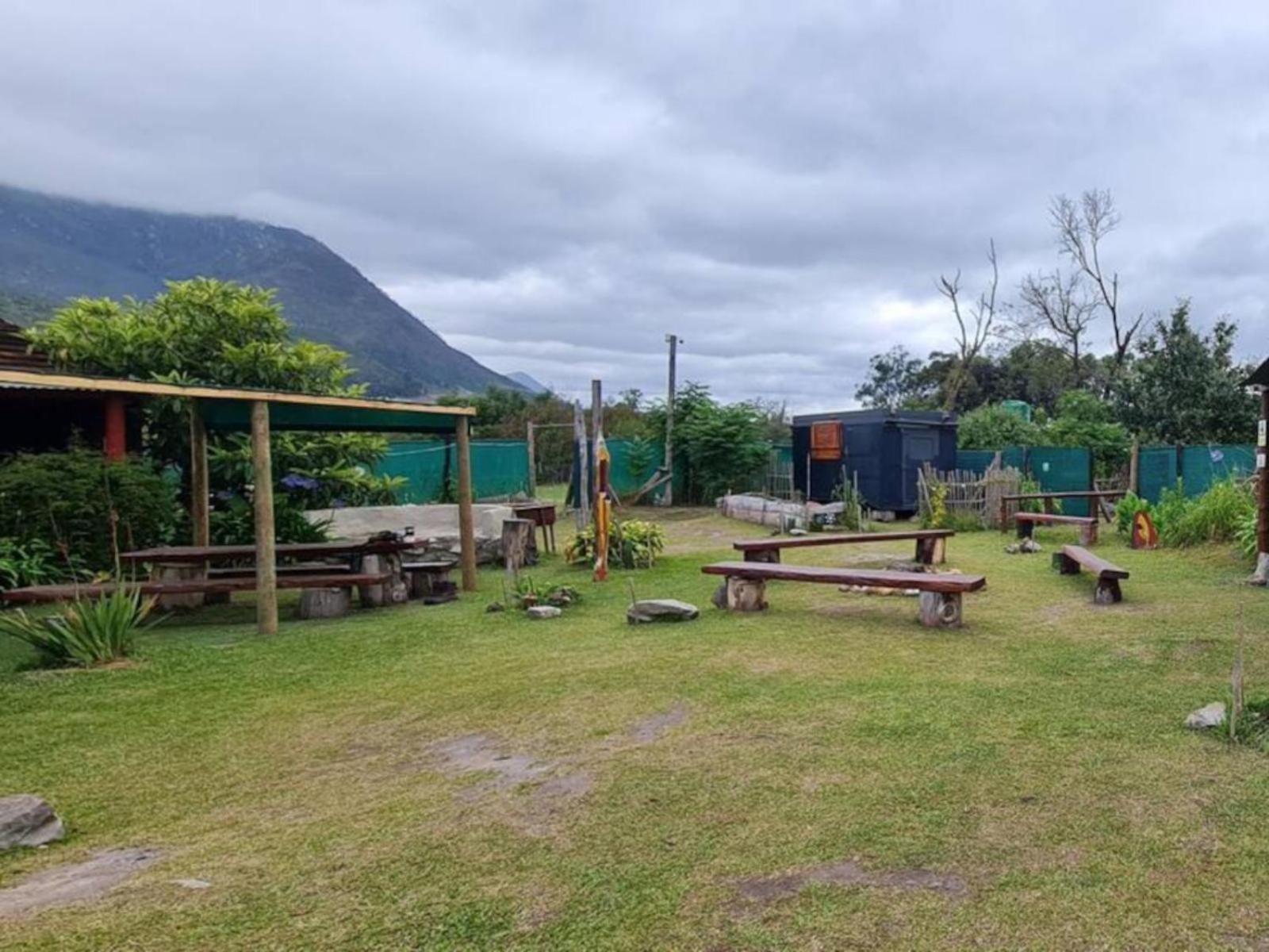 Tsitsikamma Wolf Sanctuary Eco Cabins & Teepees Stormsrivier Esterno foto