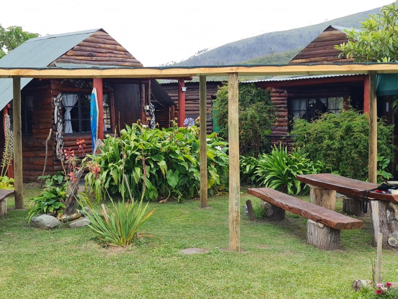 Tsitsikamma Wolf Sanctuary Eco Cabins & Teepees Stormsrivier Esterno foto