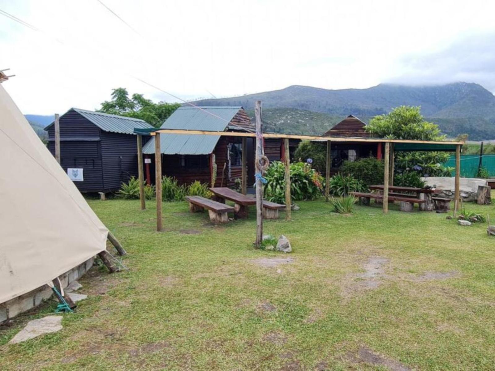 Tsitsikamma Wolf Sanctuary Eco Cabins & Teepees Stormsrivier Esterno foto
