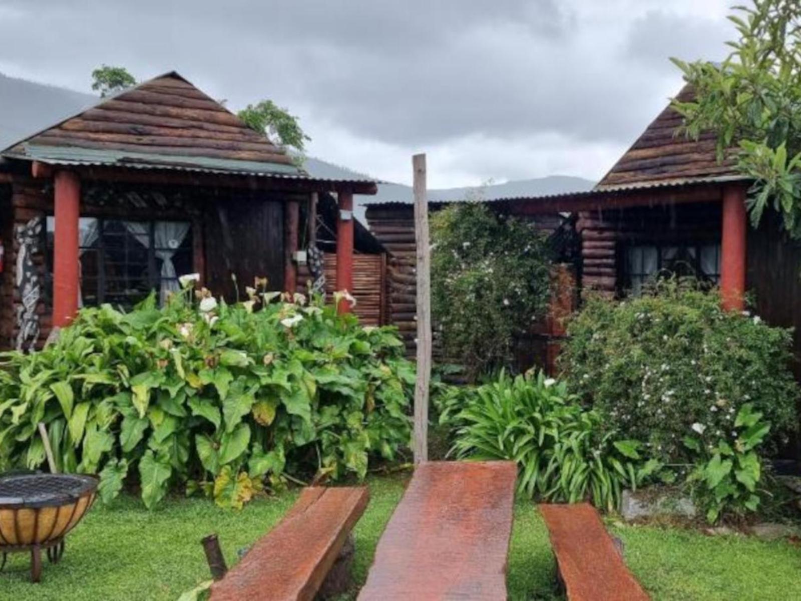 Tsitsikamma Wolf Sanctuary Eco Cabins & Teepees Stormsrivier Esterno foto