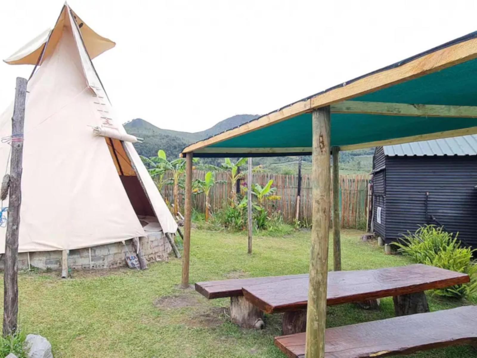 Tsitsikamma Wolf Sanctuary Eco Cabins & Teepees Stormsrivier Esterno foto