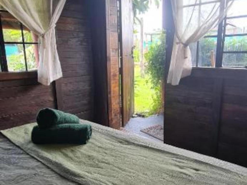 Tsitsikamma Wolf Sanctuary Eco Cabins & Teepees Stormsrivier Camera foto