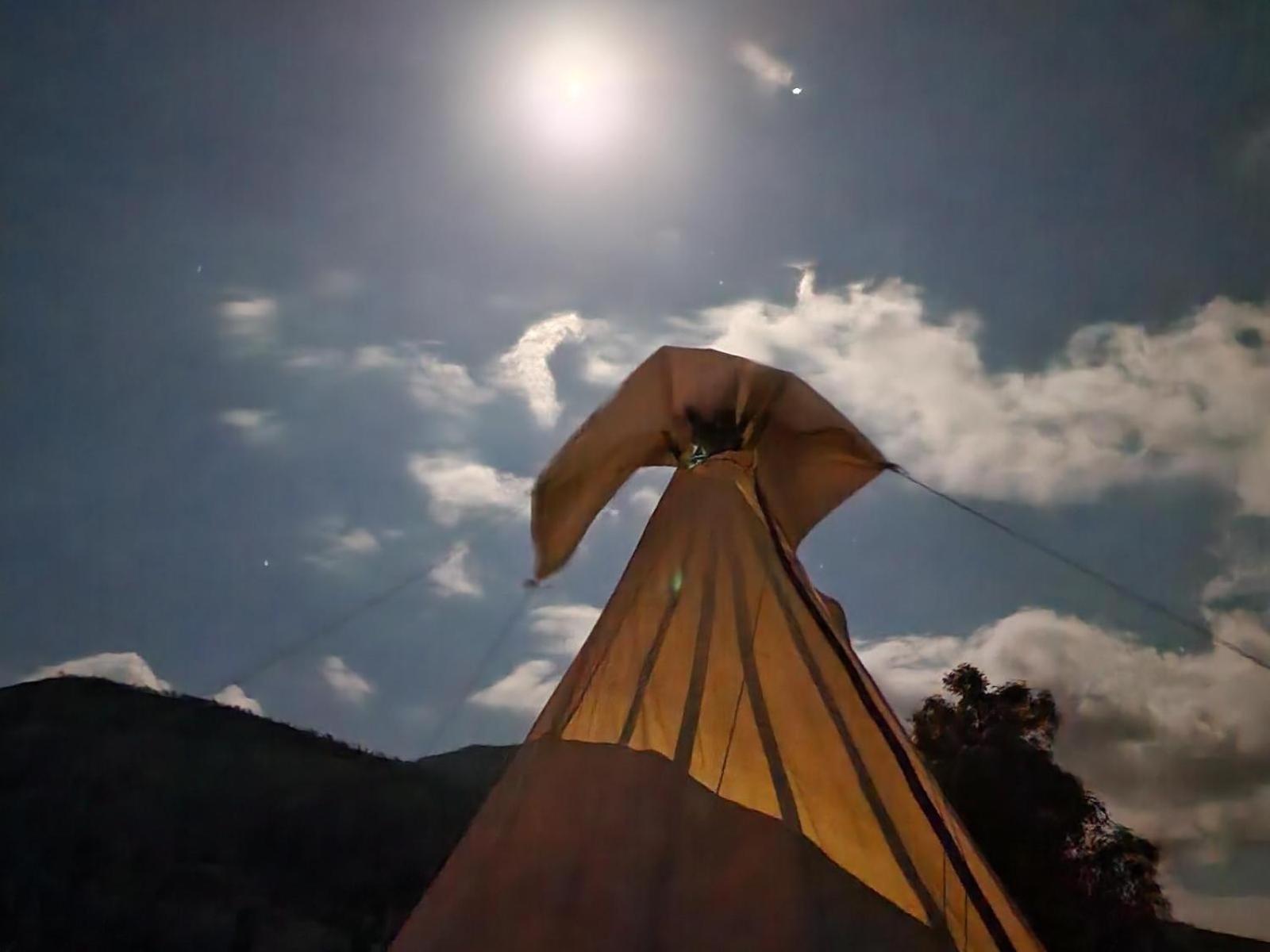 Tsitsikamma Wolf Sanctuary Eco Cabins & Teepees Stormsrivier Camera foto