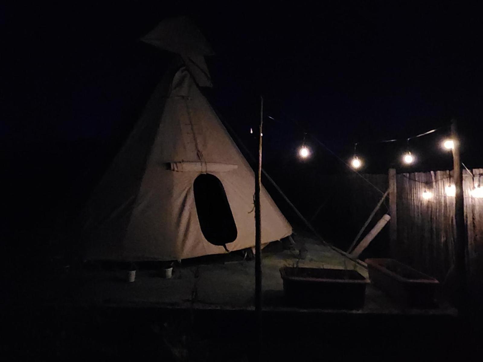 Tsitsikamma Wolf Sanctuary Eco Cabins & Teepees Stormsrivier Camera foto