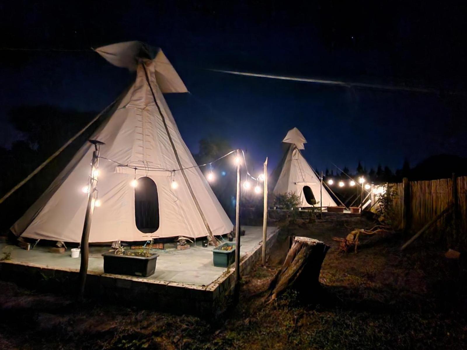 Tsitsikamma Wolf Sanctuary Eco Cabins & Teepees Stormsrivier Camera foto