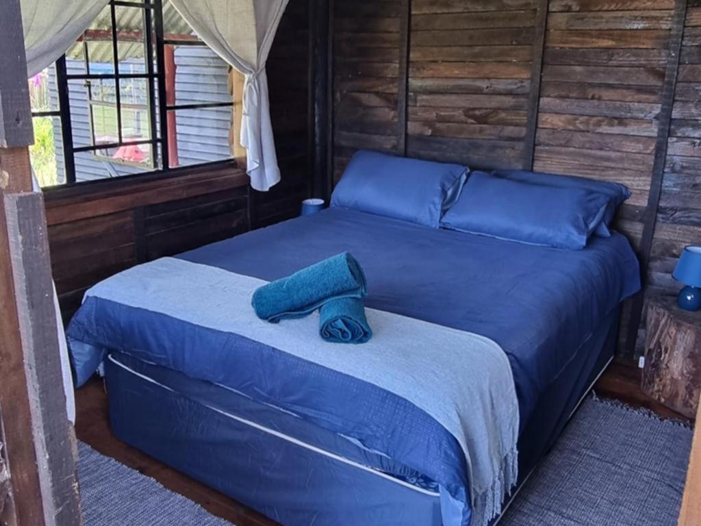 Tsitsikamma Wolf Sanctuary Eco Cabins & Teepees Stormsrivier Camera foto