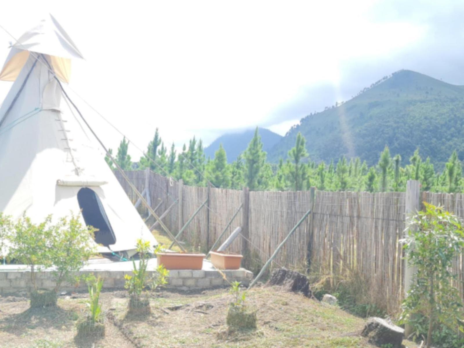 Tsitsikamma Wolf Sanctuary Eco Cabins & Teepees Stormsrivier Camera foto