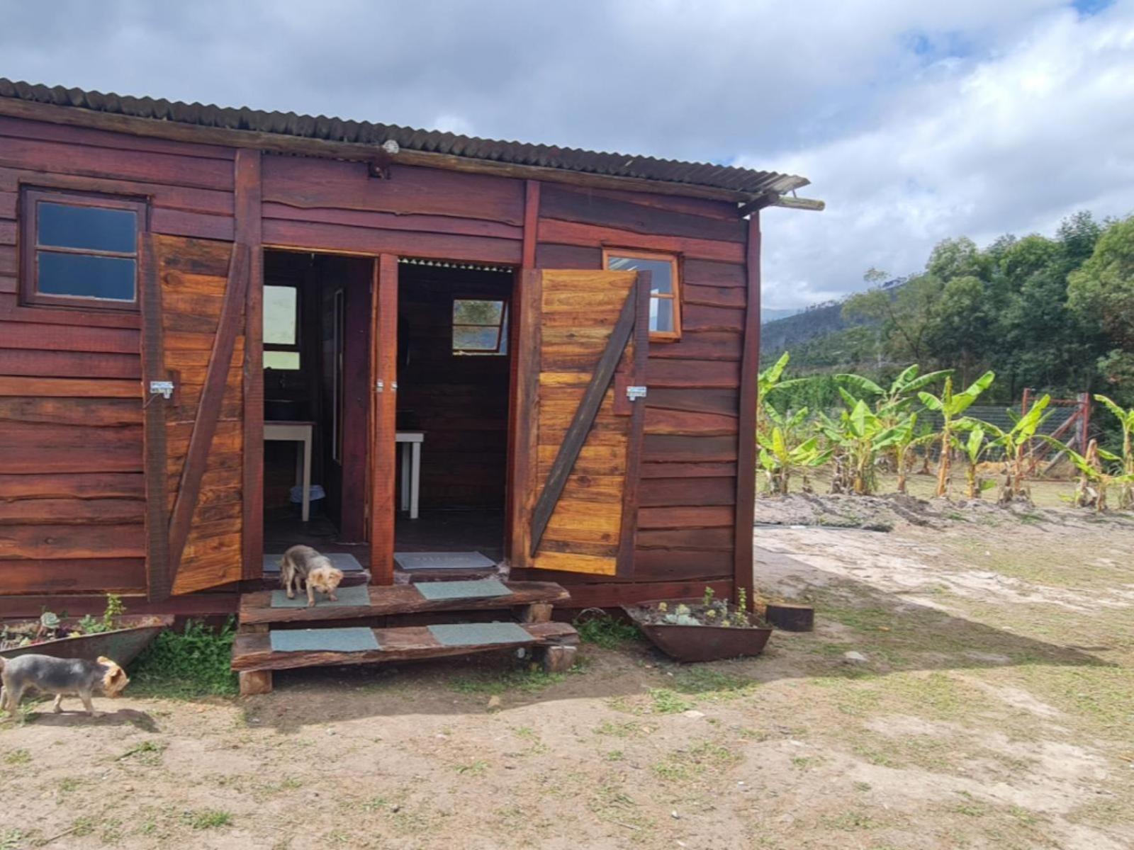 Tsitsikamma Wolf Sanctuary Eco Cabins & Teepees Stormsrivier Camera foto