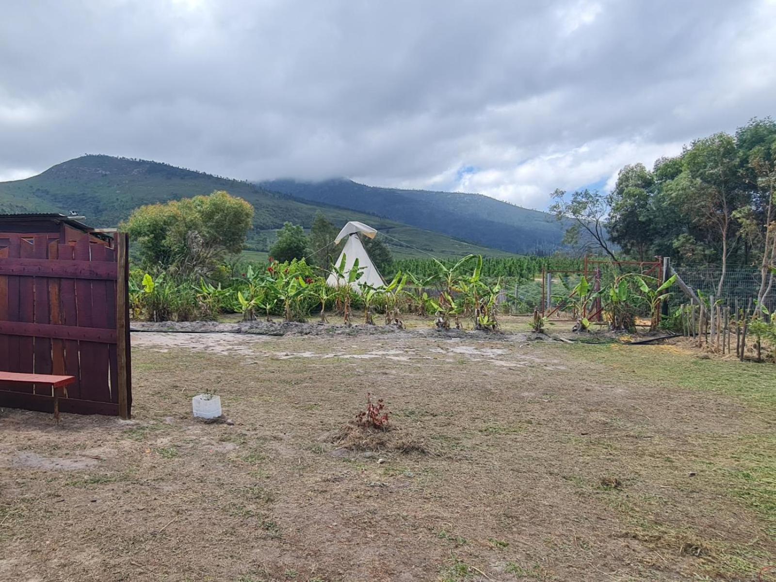 Tsitsikamma Wolf Sanctuary Eco Cabins & Teepees Stormsrivier Camera foto